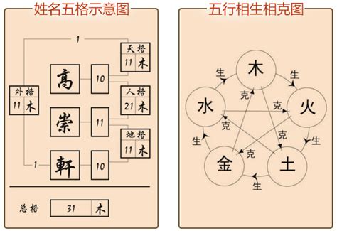 姓名分析 五行|名字分析